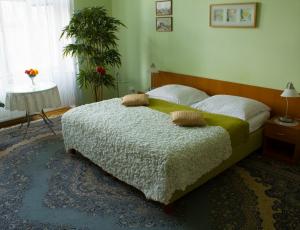 Na Smetance G Apartamento