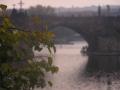 Praga 53