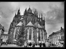 Catedral de San Vito