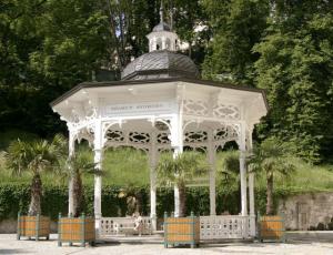 Karlovy Vary balneario excursión de trasnoche